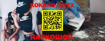 сатива Можга