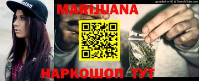 сатива Можга