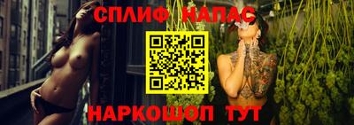 сатива Можга