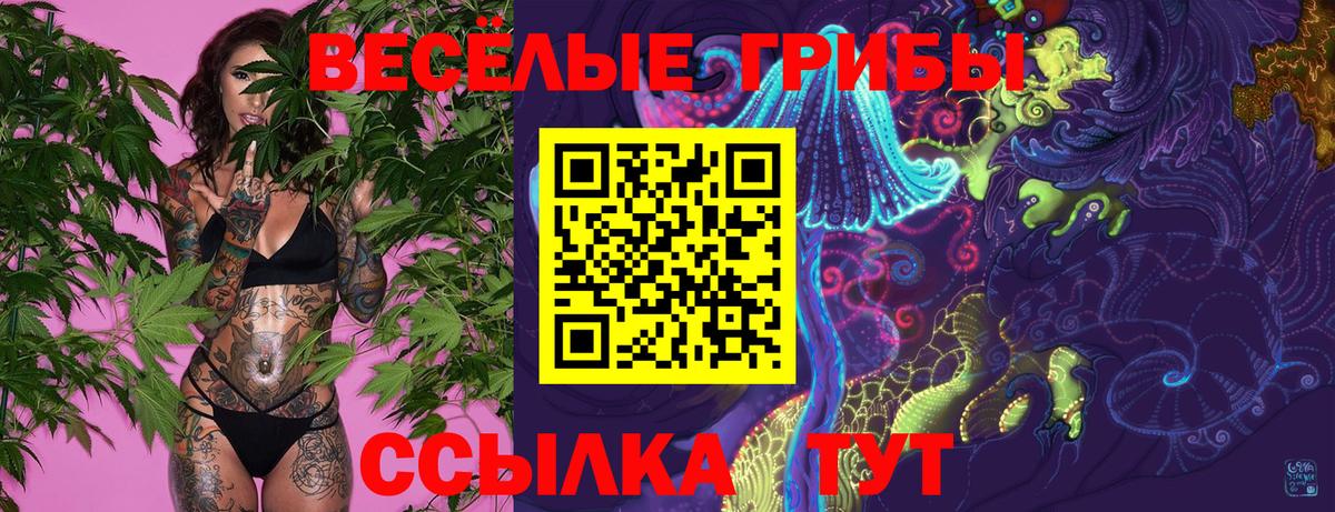 Галлюциногенные грибы MAGIC MUSHROOMS  Вход с VPN  Псилоцибиновые грибы GOLDEN TEACHER  Щёлково 